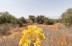 Luz, Algarve 8600