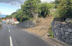 Manadas (Santa Bárbara), Velas, Azores 9800