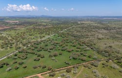 Évora, Évora District 7200-014
