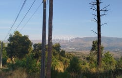 Mangualde, Viseu District