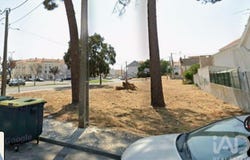 Setúbal, Setubal