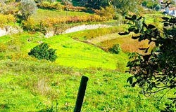 Santa Marinha do Zêzere, Porto District
