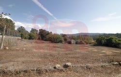 Barcelos, Braga
