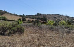 São Luís, Beja 7630