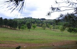 Vilela do Tâmega, Vila Real District