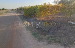 Beja, Beja District 7830