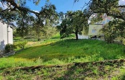 Castelo Branco, Castelo Branco 6000-457