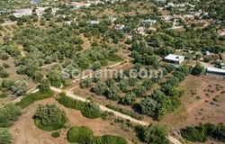 Loule, Faro