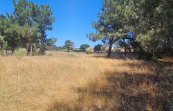 Palmela, Setubal