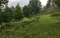 Salamonde, Braga