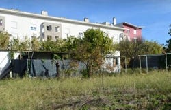Lisbon, Lisbon 1000