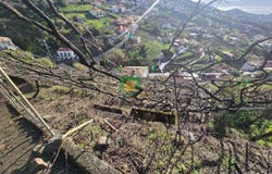 Câmara De Lobos, Madeira 9300