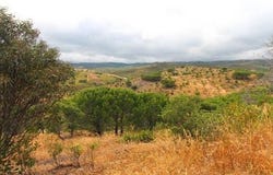 BENSAFRIM, Lagos, Faro