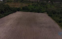 Santa Cruz (Trindade e Sanjurge), Vila Real 5400