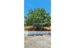 Morais, Bragança District