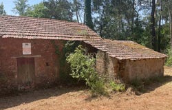 Maçãs de Dona Maria, Leiria District