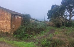 Beja, Beja District