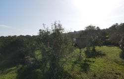 Loulé (São Sebastião), Algarve 8100