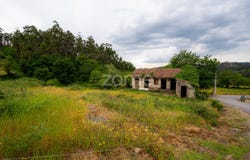 Fafe, Braga