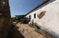 Santana Da Serra, Beja 7670