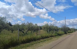 Campo Maior, Portalegre District