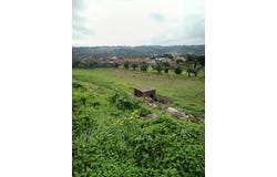 Olival, Santarém District