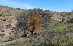 Odeleite, Algarve