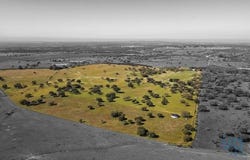 Montemor-o-Novo, Évora 7050-556
