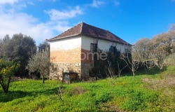 Pombal, Leiria District