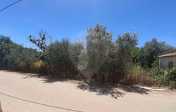 Faro, Algarve 8365