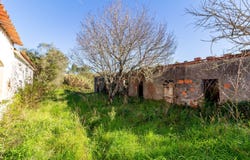 Rua da Escola, Cela, Leiria District 2460-358