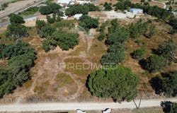 Pinhal Novo, Palmela, Setubal 2955