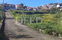 Santo Antônio, Madeira 9020