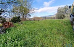 Viana do Castelo, Viana do Castelo District