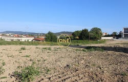 BARCELOS, Braga