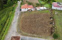 Tabuadelo e São Faustino, Braga