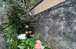 Porto Moniz, Madeira