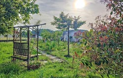 MACIEIRA DE ALCOBA, Aveiro District
