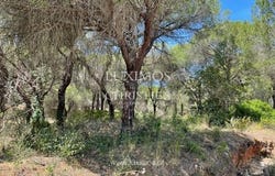 Quinta do Lago, FARO