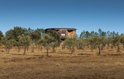 Proença-A-Velha, Castelo Branco 6060