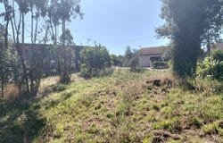 Requeixo, Aveiro District