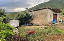 Freixo de Numão, Vila Nova de Foz Côa, Guarda District 5155