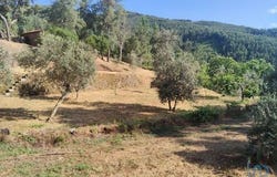 Sertã, Castelo Branco 6100-514