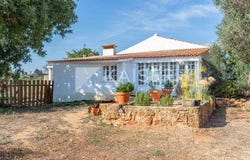 Silves, Silves