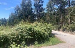 Valongo, Porto District