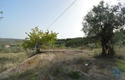 Leiria, Leiria District