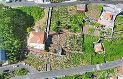 Ilha da Madeira, Madeira