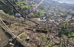 Câmara De Lobos, Madeira 9300