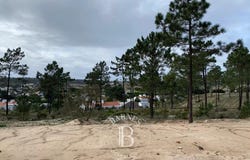 Comporta, Setúbal 7580