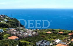Estreito Da Calheta, Madeira 9370
